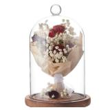 BENECREAT 7x4.5 Inch Glass Dome Cloche with Wooden Base, Rustic Bell Jar Display Clear Glass Bell Cloche for Plants, Fairy Lights or Table Decor