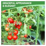 KLS 3 Pack Tomato Cage for Pots Plant Support, Upgrade 36 Inches Tomato Cages for Garden, Pepper Cage Trellis Kit with Plant Tie and Clips (36\")