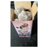 Hopearl Adorable Plush Calf Elephant Toy Floppy Elephish Ultra Soft Stuffed Animal for Boys Girls Kids Toddlers, Gray, 9