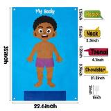 WATINC 35Pcs Brown Skin Color Body Parts Learning Felt Story Board Set, Human Organ Educational Teaching Storytelling Kit, Early Learning Interactive Play Wall Hanging Gift for Toddlers Kids