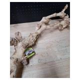 California Grapevine Branch