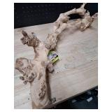 California Grapevine Branch