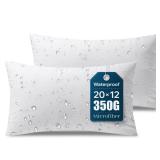 Phantoscope Premium Outdoor Pillow Inserts - Pack of 2 Square Form Water Resistant Decorative Throw Pillows, Couch Sham Cushion Stuffer 12 x 20 inches