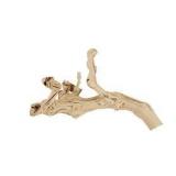 California Grapevine Branch