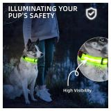 Super Bright LED Dog Collar - Fully Waterproof & Adjustable Glow Collar - USB-C Rechargeable for Night Walking, Safety - Flashing Lighted Collar for Dogs(Green,Medium) - Retail: $17