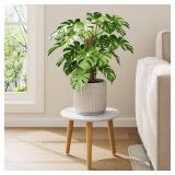 Leaf&lull Plant Table Small Plant Stand Indoor for Large Plants Wood Plant Stool Tall Plant Holder for Living Room Bedroom Balcony White - Retail: $17