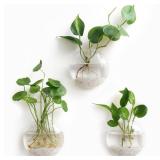 Mkono Wall Hanging Planter Propagation Station Glass Flower Vase for Hydroponics Plants, Bathroom, Home Office Living Room Decor Gift, Oblate Set of 3 - Retail: $22