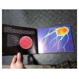 The Natural World Close-Up