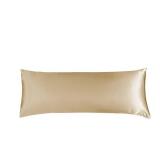 Luxury Satin Silk Pillow Case 1 Pack Pillowcase for Hair and Skin Satin Pillow Covers with Zipper Closure (Body(20x54), Champagne)