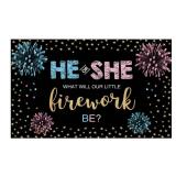 Funnytree Gender Reveal Backdrop He or She Party Fourth of July Blue or Pink Boy or Girl Banner Decoration Stars Photography Background Photobooth Supplies Prop - Retail: $14