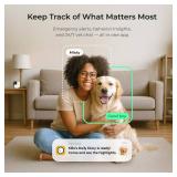 Petcube Cam 360 Camera Interactive WiFi Pet and Home Security Pan-Tilt Camera with Phone App, 1080p HD Video, 360Â° Rotation, Night Vision, AI Alerts - Retail: $47