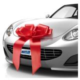 Mifflin-USA Preassembled Extra Large Bow - Matte Red, 23 Inch - Butterfly Shape Giant Ready to Use Bow for Birthday, Christmas - Huge Car DÃ©cor - Retail: $15