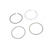 GM Genuine Parts 12691926 Piston Ring Kit with Compression Rings, Oil Ring Rail Spacer, and Oil Ring Rails