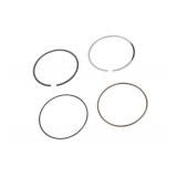 GM Genuine Parts 12691926 Piston Ring Kit with Compression Rings, Oil Ring Rail Spacer, and Oil Ring Rails