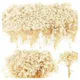 4700+ Mini Dried Babys Breath Flowers, 90+Pcs Ivory White Baby Breath Flower Bulk, Dried Flowers for Crafts, Wedding Decor Boho Invitation, Resin Candle Making, Dry Babies Flowers, Rustic Gypsophila