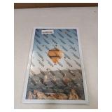 JCJMY 9x14 Picture Frame White for Wall Hanging, Wall Mounting Horizontally or Vertically, 9 x 14 Wall Gallery Poster Photo Frame with Shatter Resistant Plexiglass, White - Retail: $10