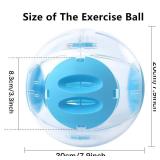 Hamster Exercise Ball, 7.9 Inch Syrian Hamster Ball, Transparent, Large Ball with Four entrances (Blue) - Retail: $19