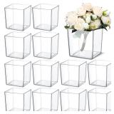 Tioncy 12 Pcs Clear Square Vase 5