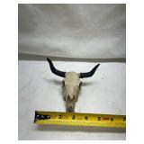 Small Western Cow Skull with Black Horns