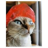 Lot of 2, Kotomoda Sphynx Cat & Small Pet Shower Caps, 20pcs Waterproof. Adjustable Bath Protection for Grooming & Ear Safety (Red)