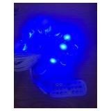 Permanent Outdoor Lights 50ft