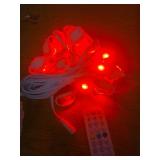 Permanent Outdoor Lights 50ft