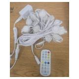 Permanent Outdoor Lights 50ft