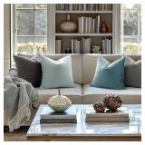 Velvet Throw Pillow Covers 20x20 Inch, Pack of 2 - Baby Blue, Soft Solid Decorative Pillow Covers Cushion Cases Modern Luxury Home Decor for Spring Couch Sofa Bedroom Livingroom - Retail: $21