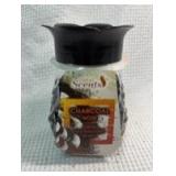 Great Scents Charcoal Noir Odor Neutralizing Beads