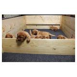 Drymate Whelping Box Liner Mat, Machine Washable, Super Absorbent, Waterproof, Quick Dry, Slip-Resistant, Reusable Dog Puppy Pee Pads for Training, Housebreaking, Incontinence, Crate (USA Made)(48x50)