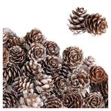 Deloky 150 Pcs Christmas Natural Mini Pine Cones- 1\" Small Christmas Snow Pinecones Ornaments- Thanksgiving Mini Snow Pinecones for DIY Crafts Vase Fillers Fall Winter Home Christmas Tree Decor - Ret