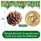 Deloky 150 Pcs Christmas Natural Mini Pine Cones- 1\" Small Christmas Snow Pinecones Ornaments- Thanksgiving Mini Snow Pinecones for DIY Crafts Vase Fillers Fall Winter Home Christmas Tree Decor - Ret