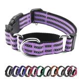 Hikiko Martingale Dog Collars Reflective Nylon Dog Collar with Quick Release Buckle Adjustable Training No Slip Dog Collar (Large, Lavender) - Retail: $14