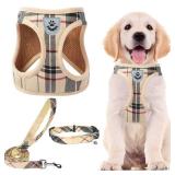 PUPTECK Adjustable Dog Harness Collar and Leash Set Step in No Pull Pet Harness for Small Medium Dogs Puppy and Cats Outdoor Walking Running, Soft Mesh Padded Reflective Vest Harnesses, Beige S - Reta