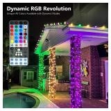 Brizled Color Changing Christmas Lights, 33ft 100 LED RGB Mard Gras Light String with Remote, Dimmable Mini Light String, USB Indoor Decorative Lighting Party Xmas Tree Wreath Year-Round Holiday - Ret