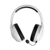 Rumoon Wireless Gaming Headset for PS5, 2.4GHz Gaming Headset with Mic - Retail: $173