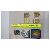 National Park Service Junior Ranger Badge & Patch Collection