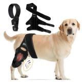 Dog Knee Brace for Torn ACL Hind Leg - Adjustable Dog Back Leg Support - Knee Brace for Dogs for Joint Pain Relief, Arthritis & Injury Recovery - Comfortable & Vet-Recommended (Small) - Retail: $27