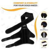 Dog Knee Brace for Torn ACL Hind Leg - Adjustable Dog Back Leg Support - Knee Brace for Dogs for Joint Pain Relief, Arthritis & Injury Recovery - Comfortable & Vet-Recommended (Small) - Retail: $27