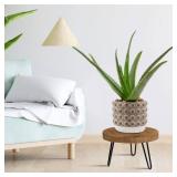 Plant Stand Indoor Outdoor, Wooden plant Stool, Mid Century Plant Stand for Indoor Plants, Wood Modern Plant Holder Rattan Flower, Low Short Boho Rustic Planter Stand Fit 5-15 Inch Pot(M) - Retail: $2