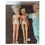 Fashion Doll Collection with Wardrobe