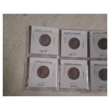 Buffalo Nickel Collection