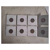 Buffalo Nickel Collection