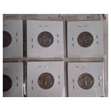 Buffalo Nickel Collection