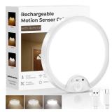Fizrice Rechargeable Motion Sensor Ceiling Light  No Wiring, USB Charging, 150+ Days Battery Life, Perfect for Hallways, Closets and Bathrooms
