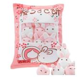 Civaner Cute Plush Pillow Kawaii Room Decor Throw Pillow Removable Stuffed Animal Fluffy Christmas Home Decor Gifts(Bunny)