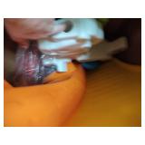 Step2 Unicorn Up and Down Roller Coaster