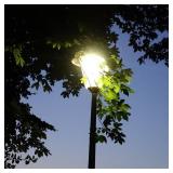 ANWIO LED ED28 Filament High Brightness Bulb, 26W(300W Incandescent Equivalent) Nondimmable 4000K Neutral White Light with E26 Medium Base, 4000Lm Alternative for HIDHPSMetal Halide Bulb