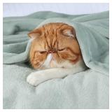 Bedsure GentleSoft Fleece Bed Blankets Full Size Sage Green - Soft Lightweight Plush Fuzzy Cozy Luxury Blanket Microfiber, 84x90 inches