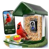 Bird Feeder with Camera Solar Powered - Smart Bird Feeder Camera 2K HD Live Stream, 5MP Photos, AI Identification for Backyard, 2.4Lb Large Capacity, Gifts for Mom Dad, Green White